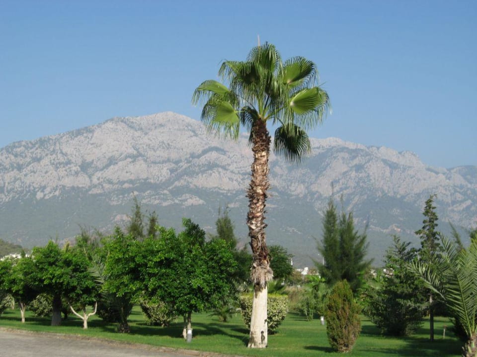 Kemer, Bergblick Hotel Forest Park