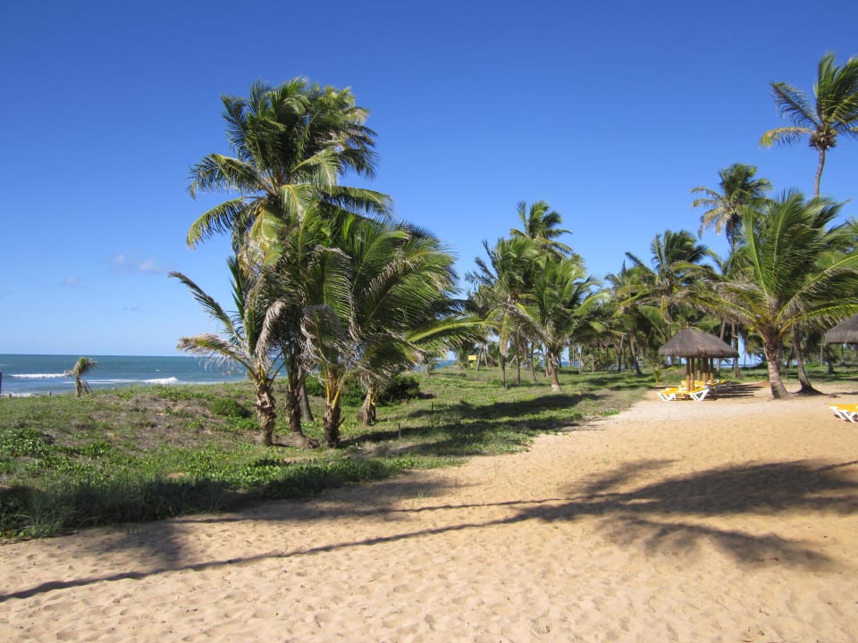 Blick zum Meer Iberostar Waves Bahia
