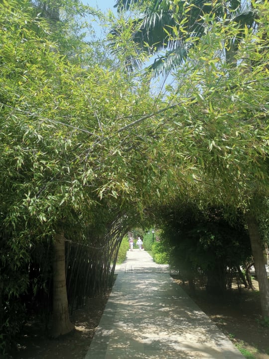 Gartenanlage Sunis Kumköy Beach Resort Hotel & Spa