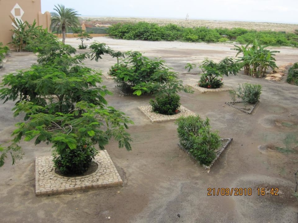 Ausblick Block 8 Hotel Riu Funana