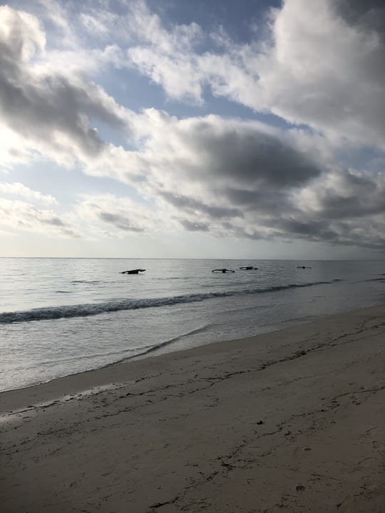 Strand Neptune Pwani Beach Resort & Spa