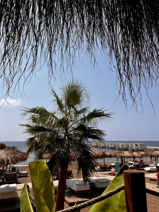 Ausblick Rubi Platinum Sign