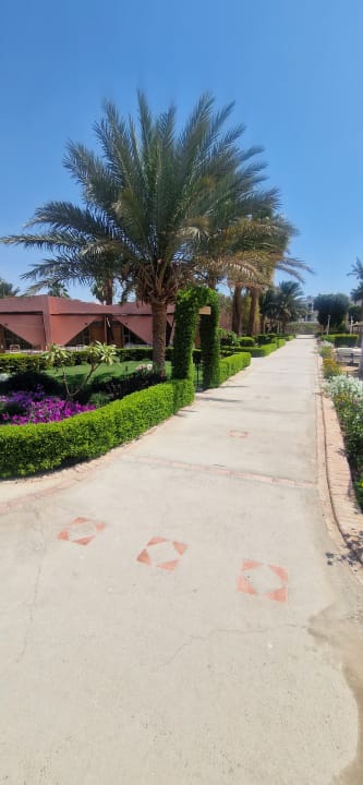 Gartenanlage Eagles Paradise Abu Soma