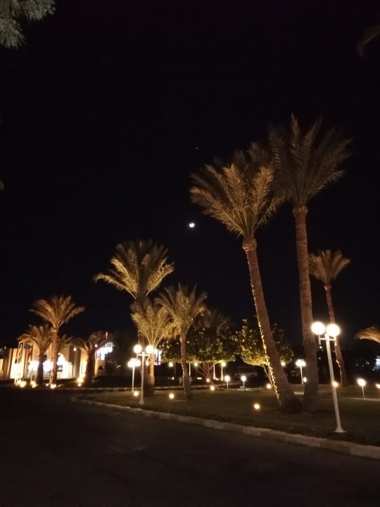 Ausblick Desert Rose