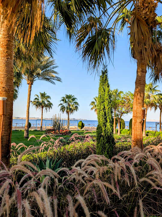 Gartenanlage Sharm Club Beach Resort