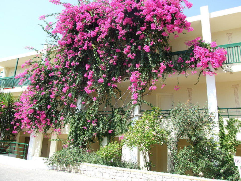 Frontansicht Golden Beach Rethymnon