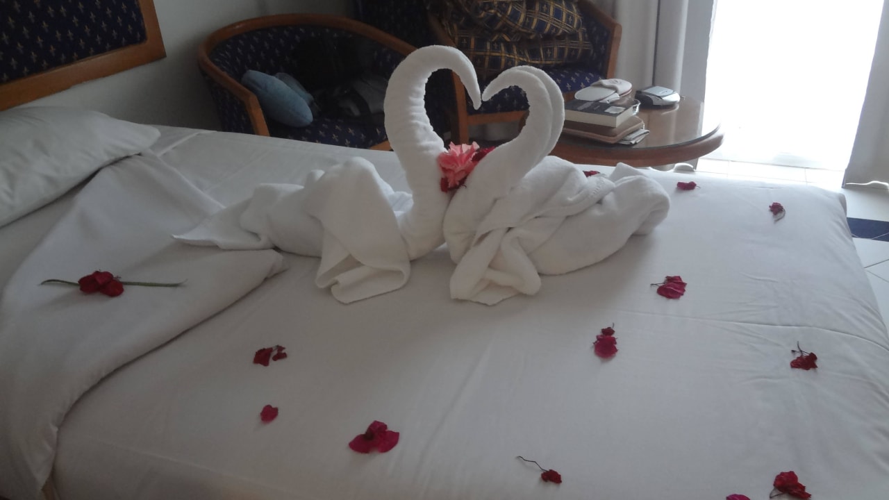 Zwei Schwäne Desert Rose