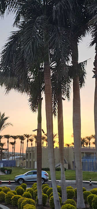 Außenansicht Sentido Mamlouk Palace Resort