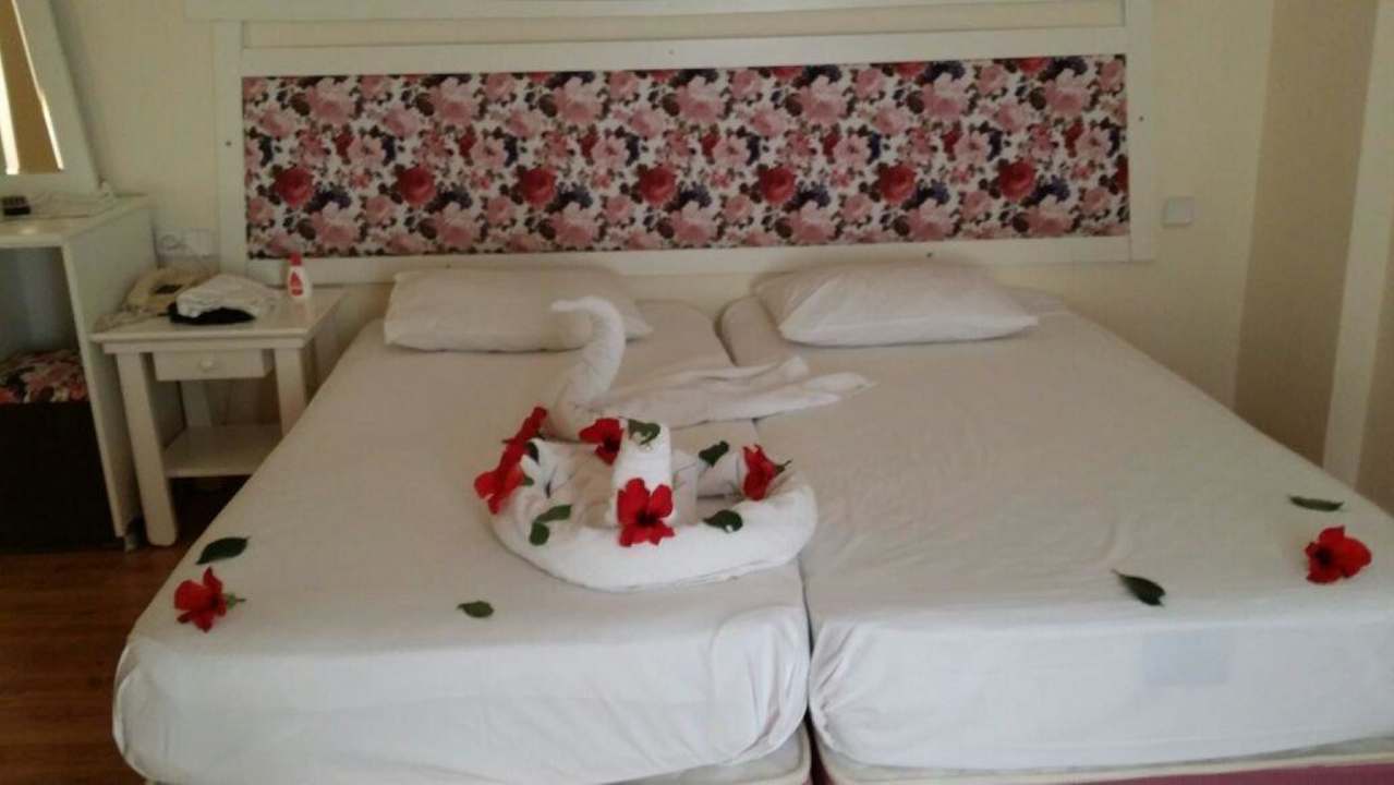 Einziger Trost ..war immer nett Xeno Club Mare Hotel