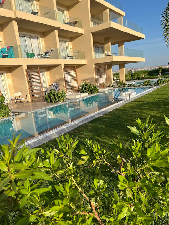 Zimmer JAZ Elite Asteria