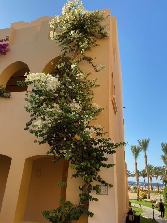 Gartenanlage Jaz Solaya