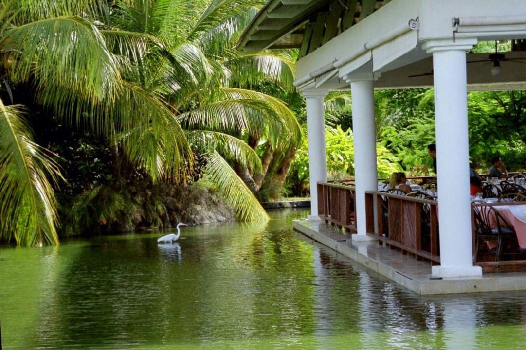 Buffetrestaurant Catalonia Punta Cana - All Inclusive