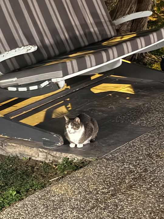 Gartenanlage VONRESORT Golden Coast