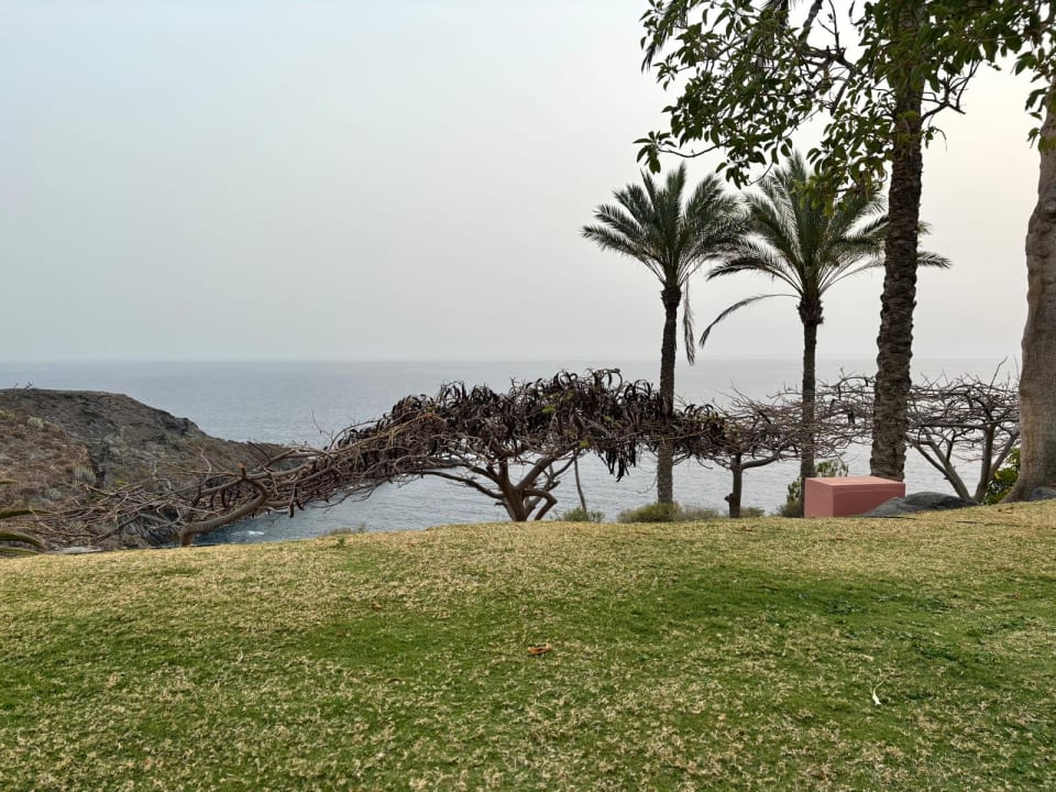 Gastro The Ritz-Carlton Tenerife, Abama