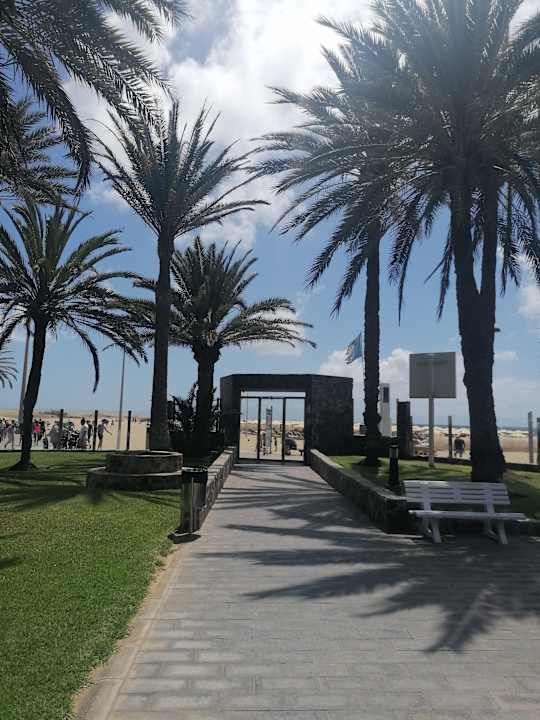 Gartenanlage Hotel Riu Palace Oasis