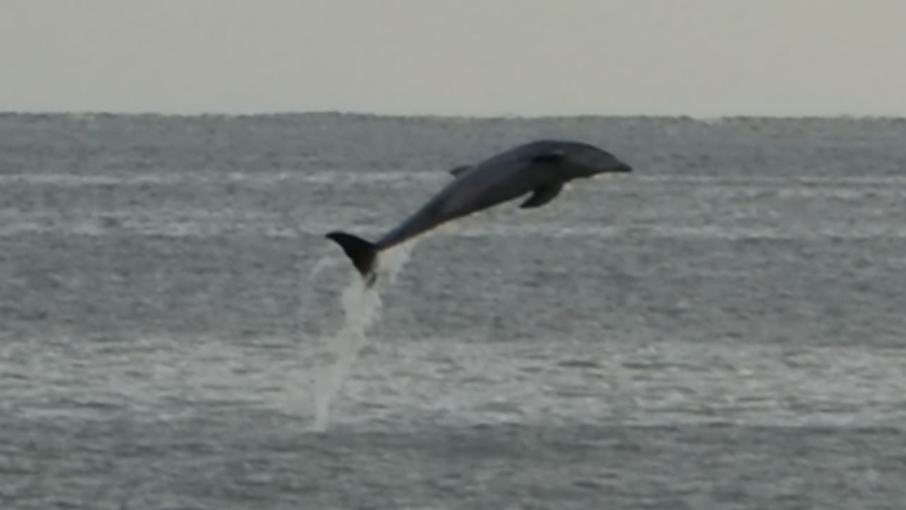 Strand Hotel The Beachcomber Beach Resort