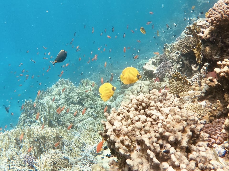 Strand Casa Mare Resort