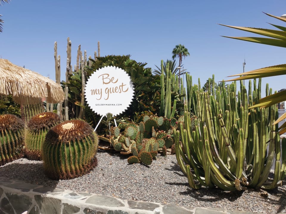 Gartenanlage Hotel Gold by Marina