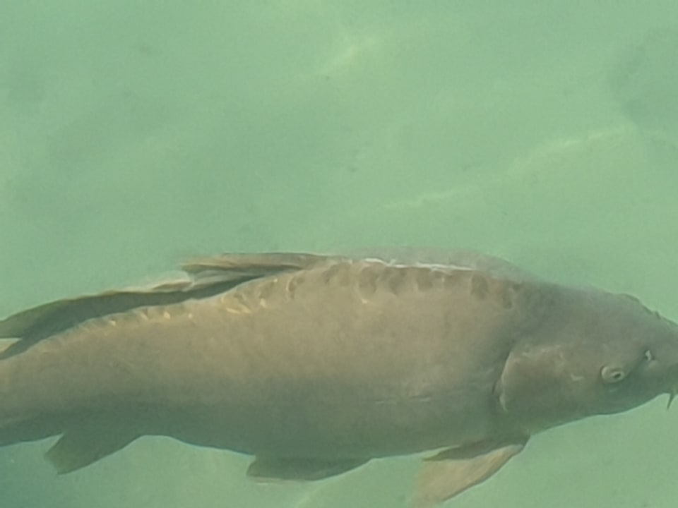 Strand Pension Kathi