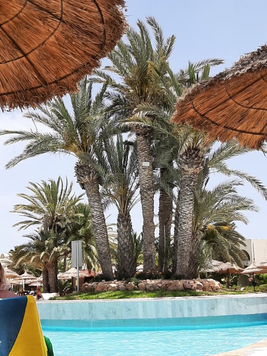 Pool TUI MAGIC LIFE Penelope Beach