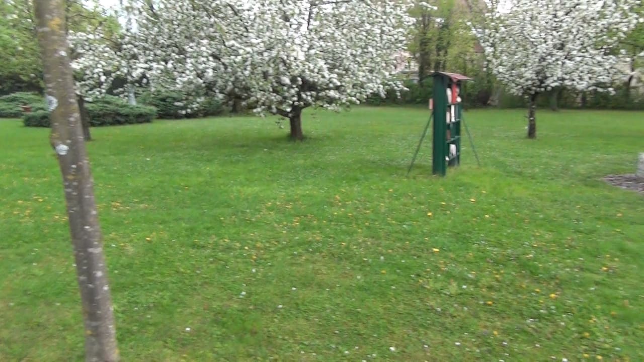 Gartenanlage Parkhotel Brunauer