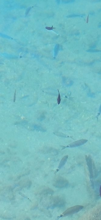 Sonstiges Aminess Laurel Khalani Hotel