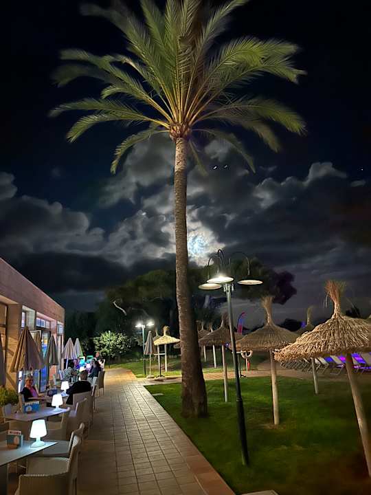 Gartenanlage Grupotel Natura Playa
