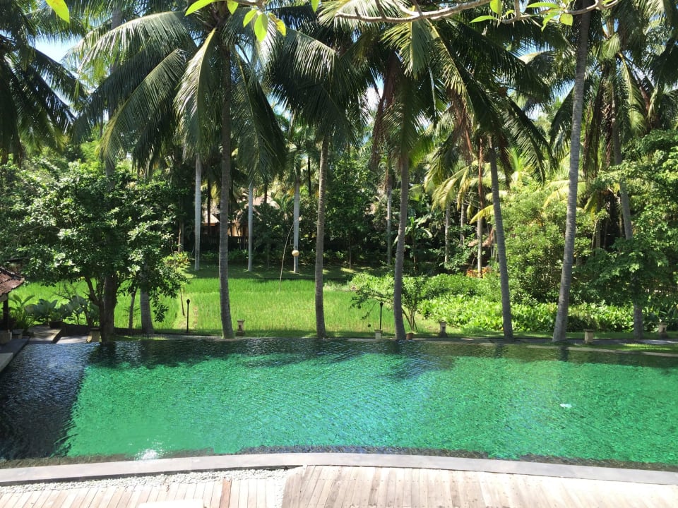 Poolanlage  The Ubud Village Resort & Spa