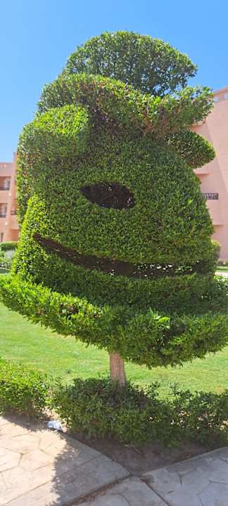 Gartenanlage Jasmine Palace Resort & Spa