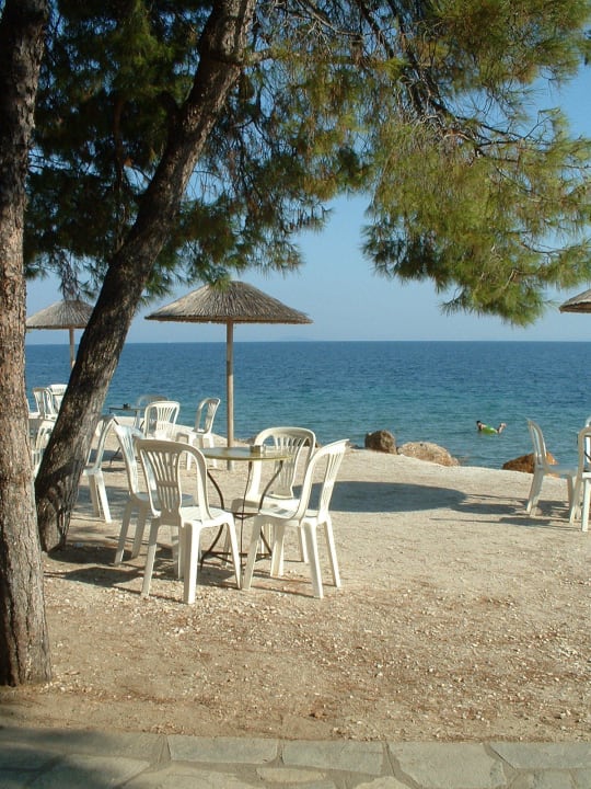 An der Strandbar Blue Dolphin Resort Hotel