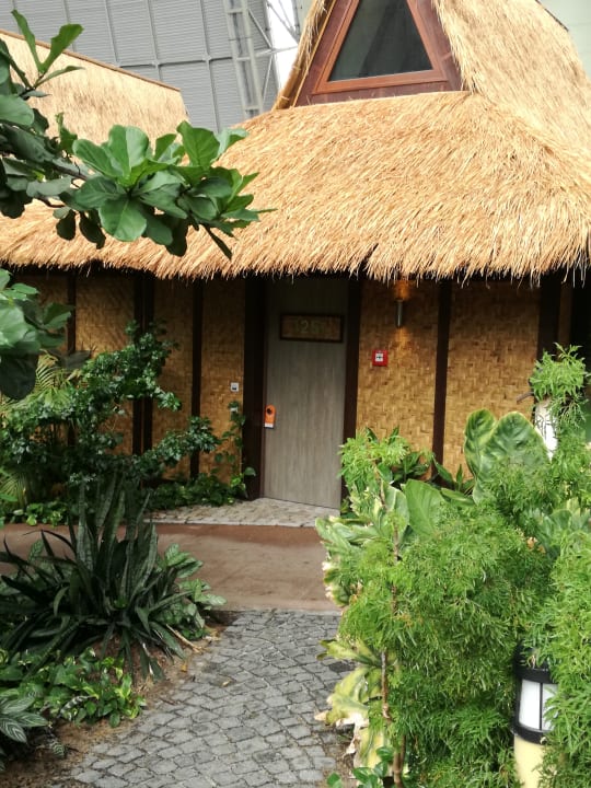 Zimmer Tropical Islands Resort