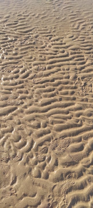 Strand Shams Prestige Abu Soma-Adults Only