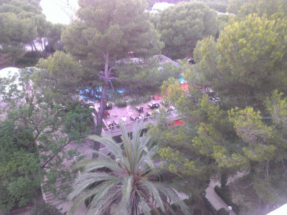 Pool Hotel Best Delta