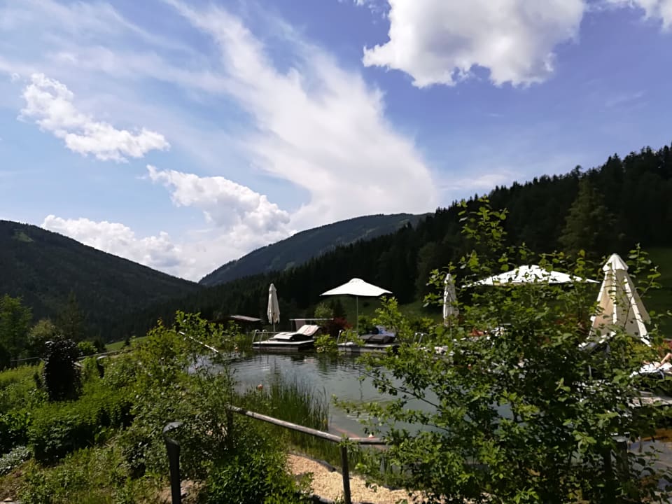 Schwimmteich Almwellness Hotel Pierer