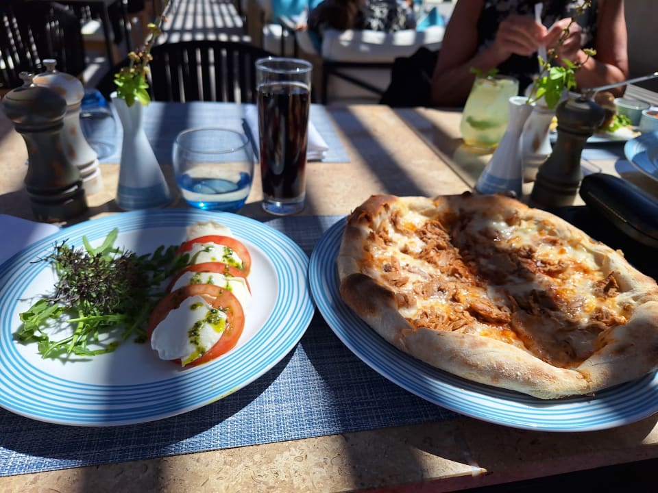 Gastro JAZ Elite Amara