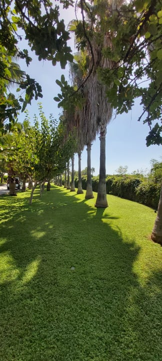 Gartenanlage VONRESORT Golden Beach