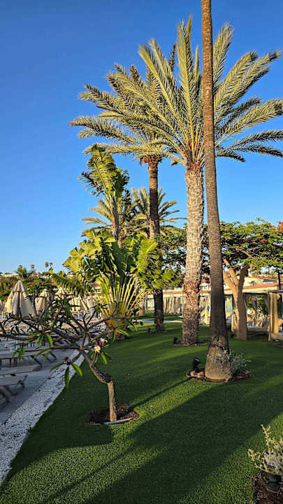 Gartenanlage Kumara Serenoa by Lopesan Hotels