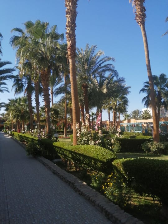 Gartenanlage Giftun Azur Resort
