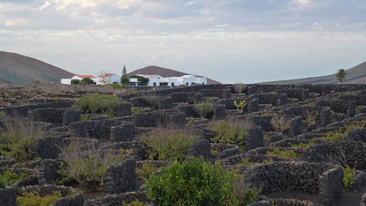 Blick von Terrasse Hotel Finca Florida Finca de la Florida