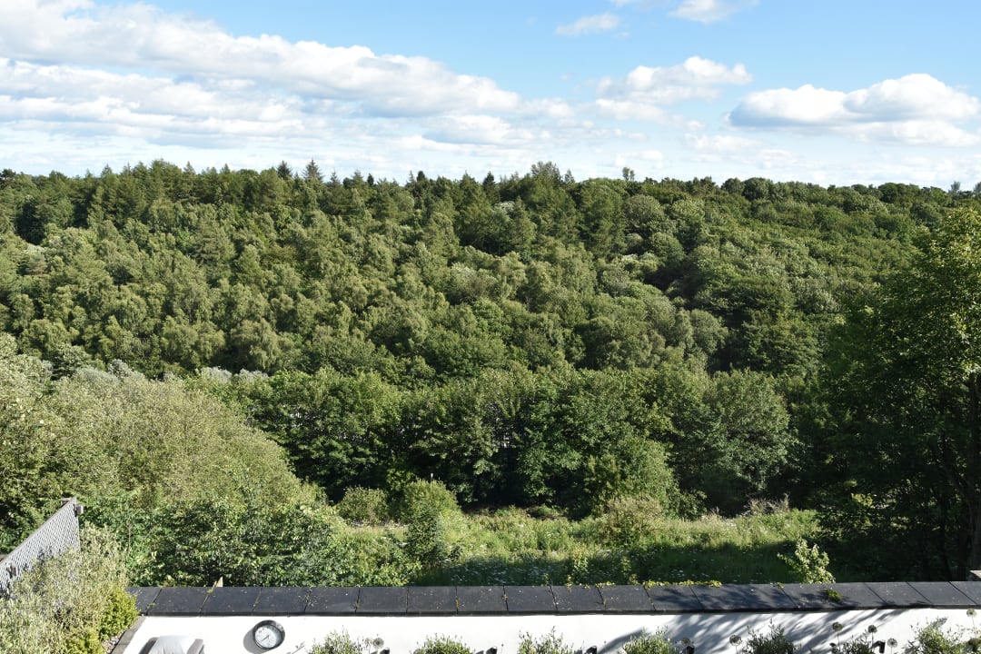 Ausblick Firbank Guest House
