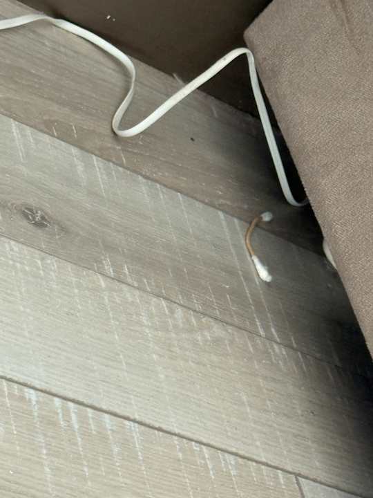 Zimmer Royal Seginus