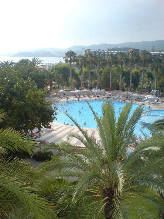 Die Poolanlage Top Hotel