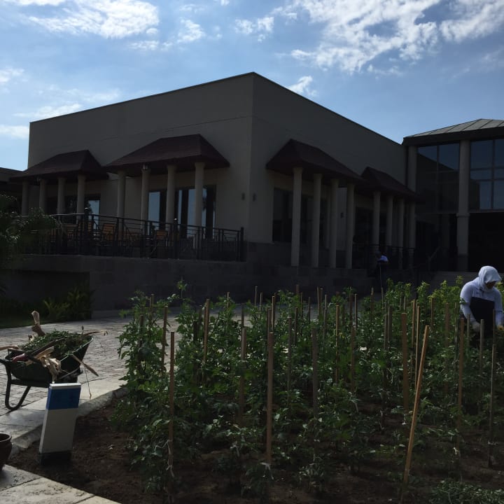 Gastro TUI BLUE Palm Garden