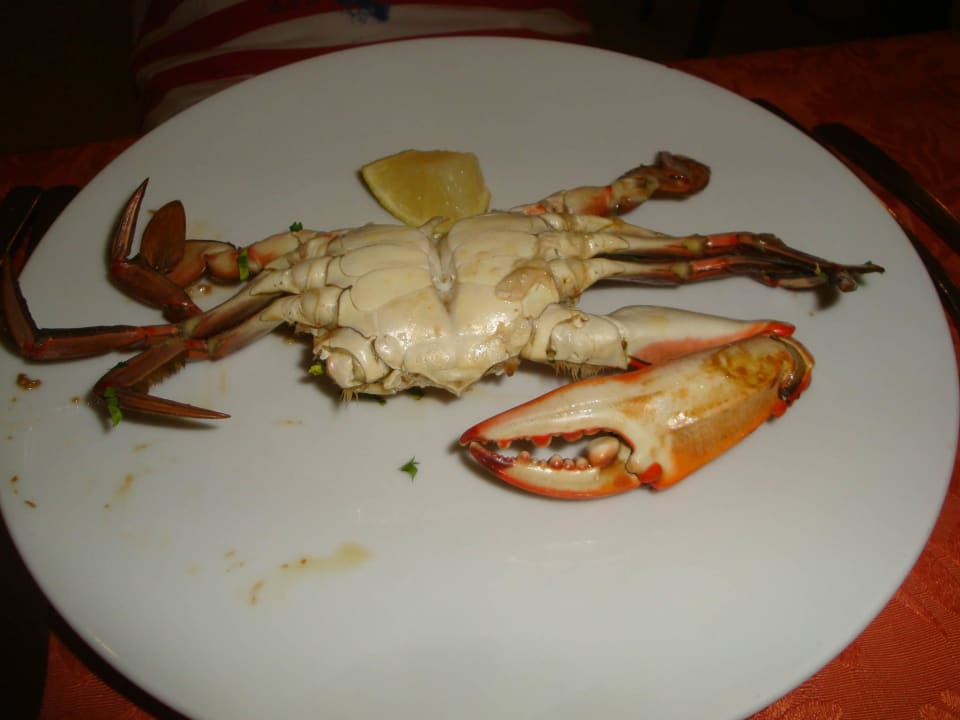 Krabbenteller Gemma Resort