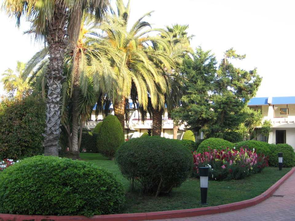 Haupteingang Side Star Elegance