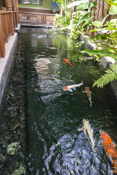 Gastro Hotel Le Duc de Praslin