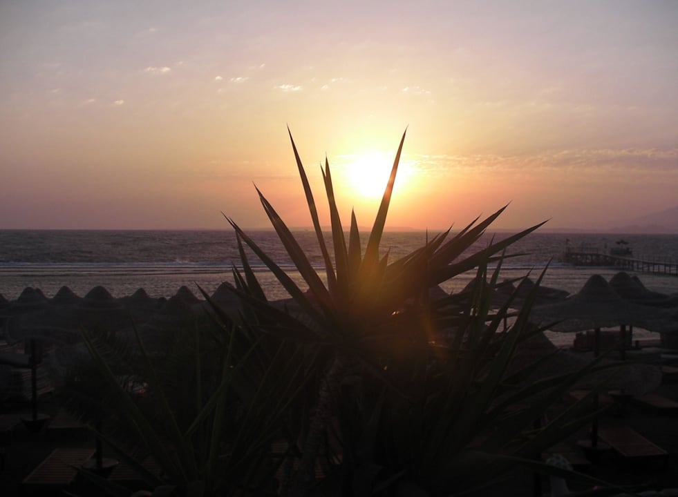 Wschód słońca Rehana Sharm Resort Aqua Park & Spa