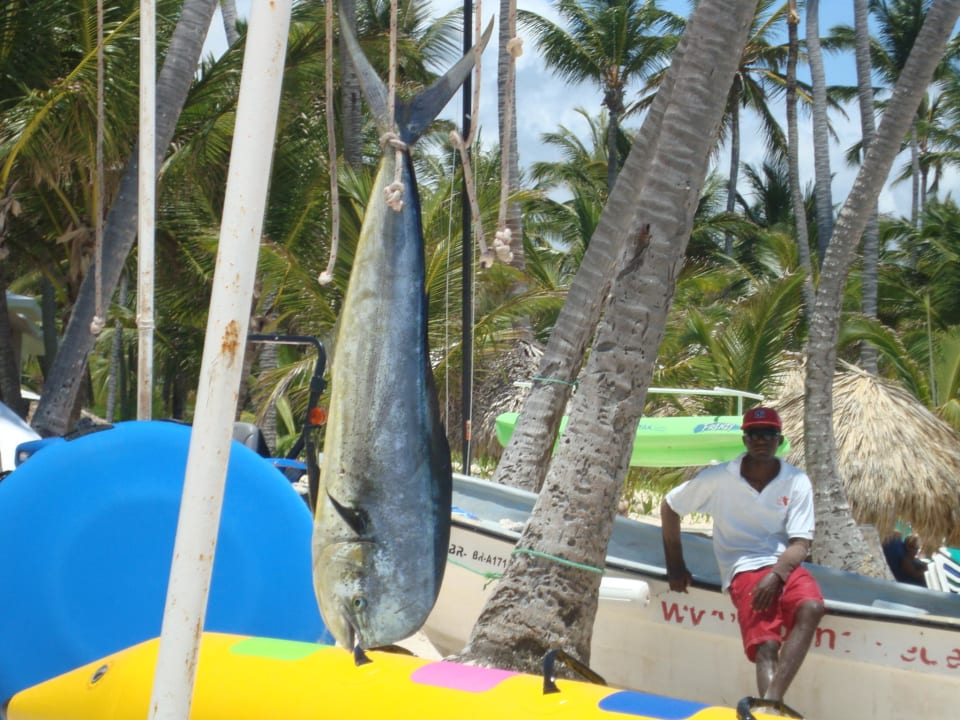 Grand Palladium Bavaro Resort & Spa  Grand Palladium Punta Cana Resort & Spa