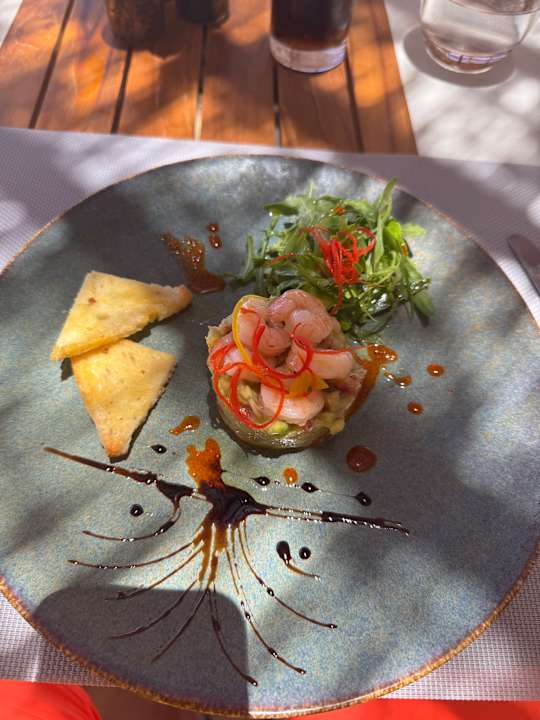 Gastro JAZ Elite Asteria