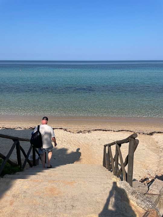 Zimmer Portes Theros